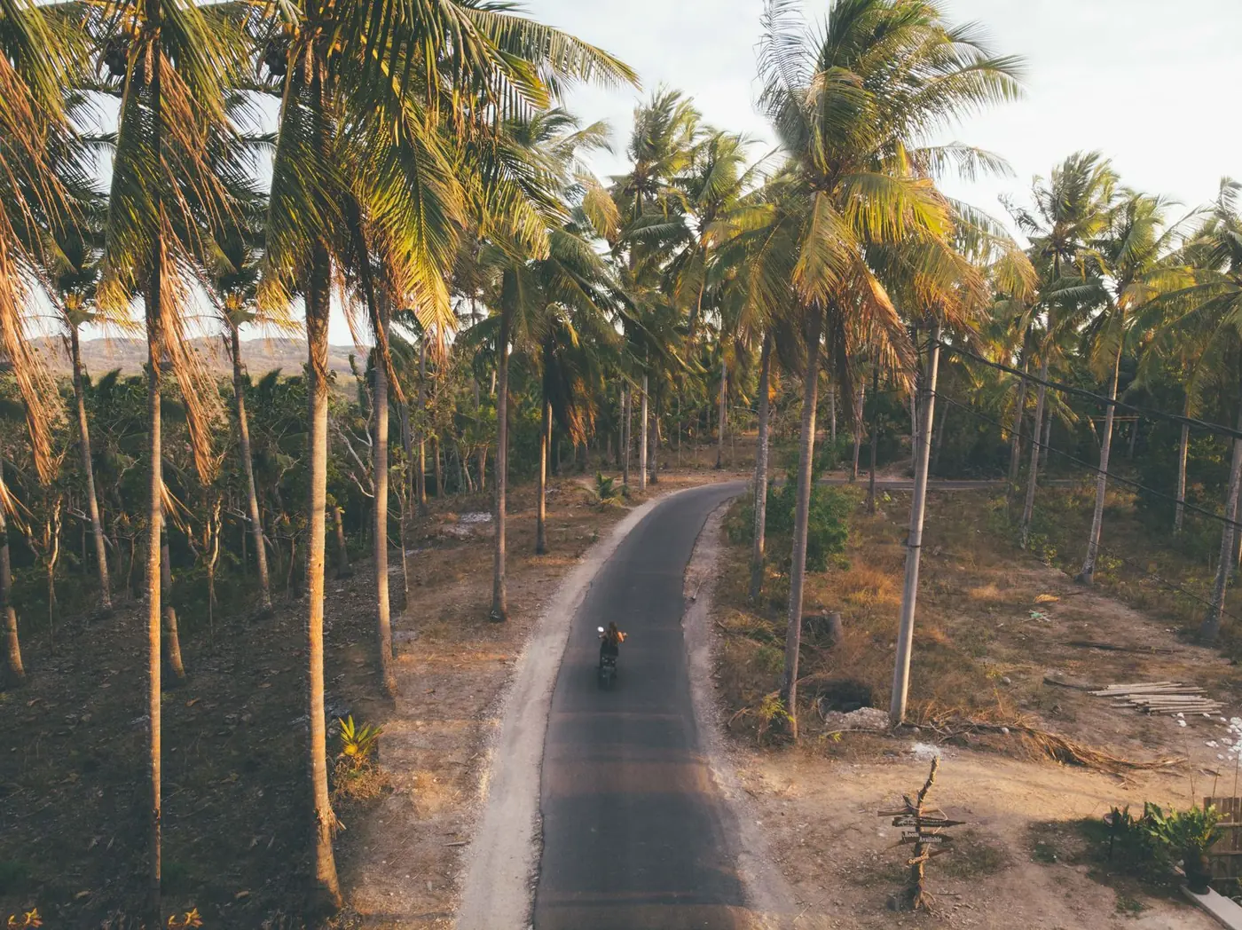Photo: Dario Fernandez Ruz (Pexels License) A rider on a motorbike travelling along a narrow asphalt road lined with tall palm trees